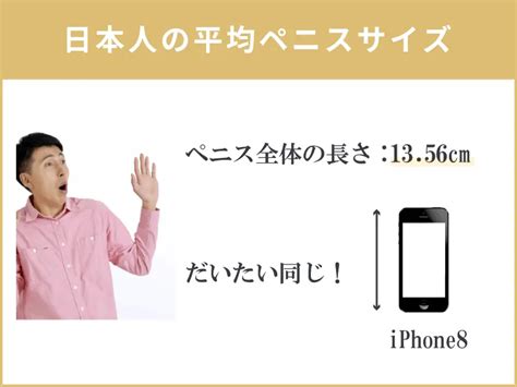 勃起 平均 サイズ|ちんこの平均サイズを解明！日本人と世界のペニス .